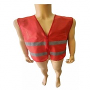 Geólogo de Seguridad