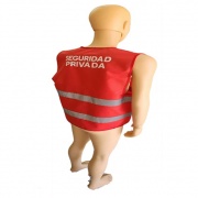 Geólogo de Seguridad